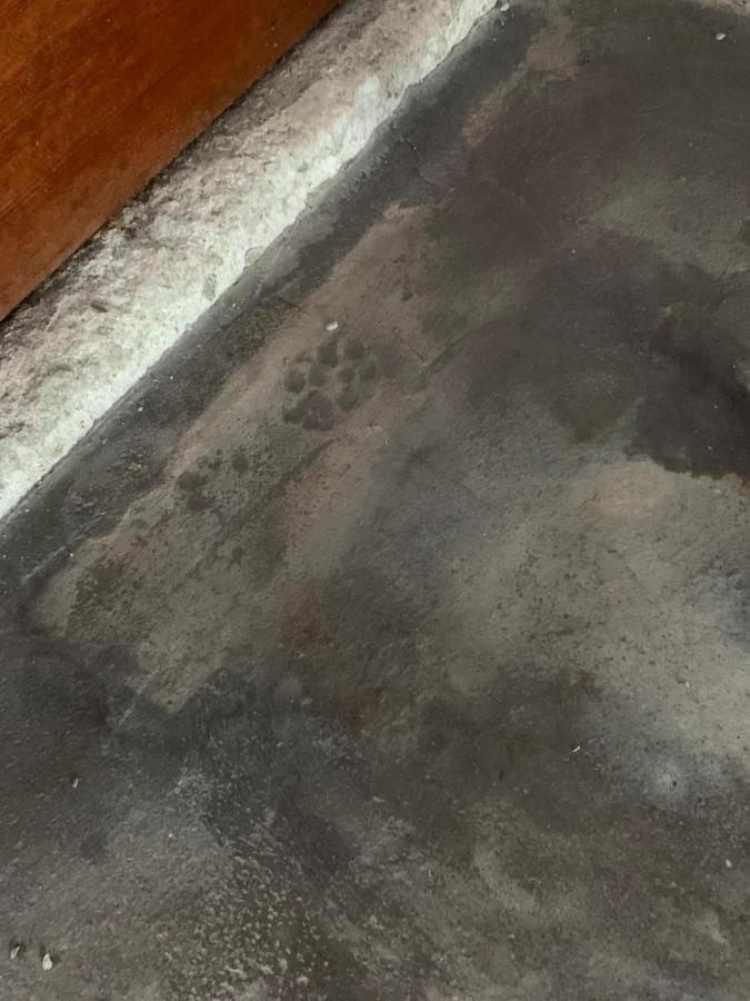 囲炉裏町家guesthouse Fujita 一棟貸切 Villa 無料駐車場 Hakusan Eksteriør bilde